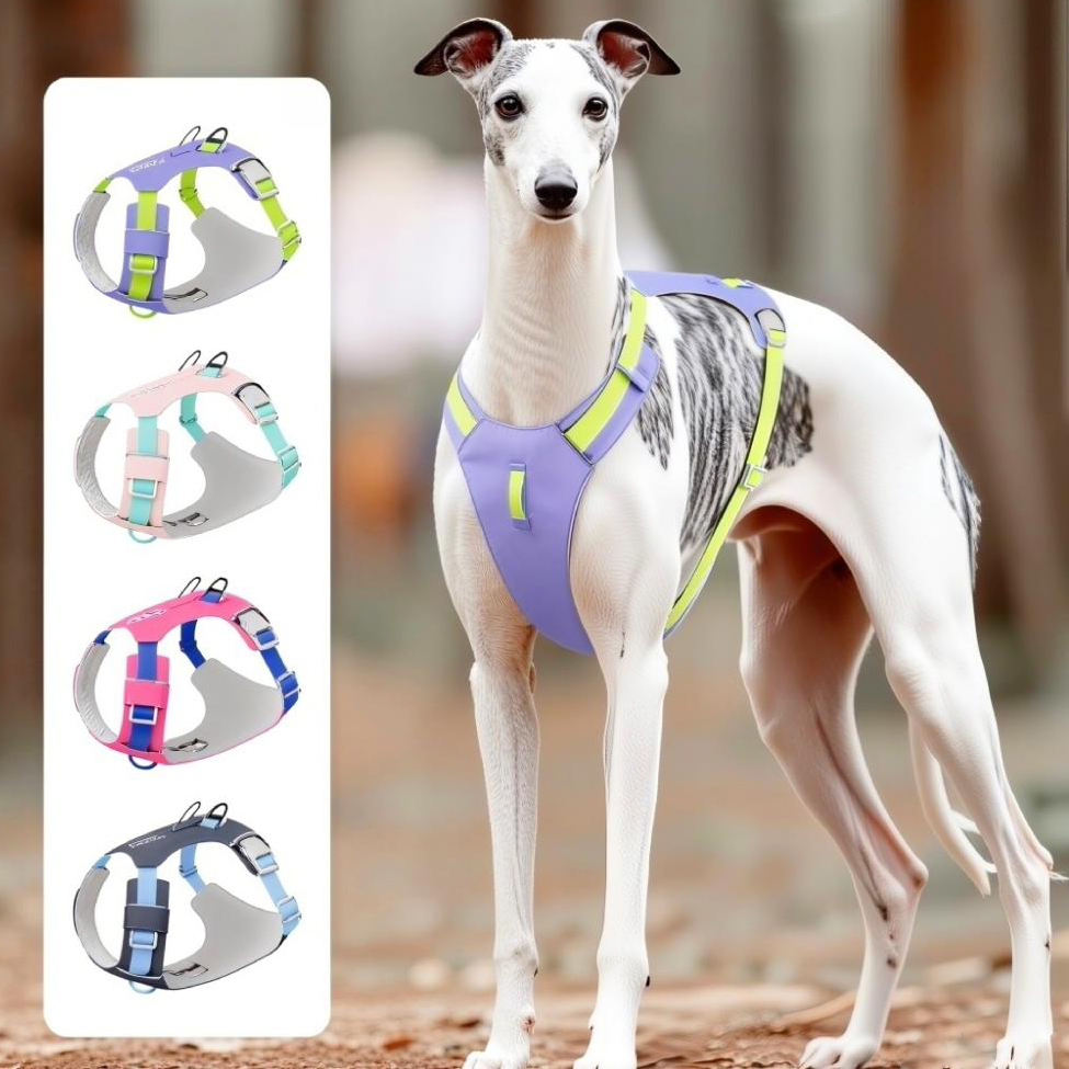 Crossfit Vest - New Pet Dog Harness Light Weight
