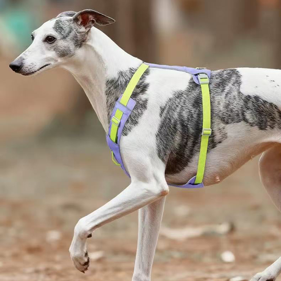 New Pet Dog Harness Light Weig – Crossfit Vest recenzja i cena