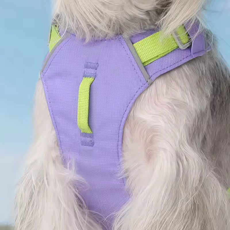 New Pet Dog Harness Light Weig – Crossfit Vest recenzja i cena